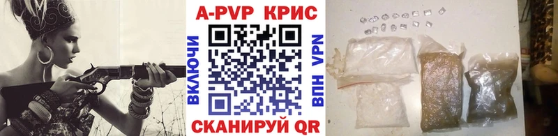 закладка  Себеж  кракен зеркало  A PVP крисы CK 