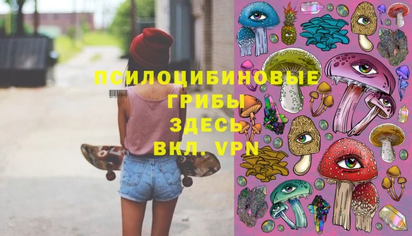 шишки Баксан
