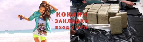 шишки Баксан