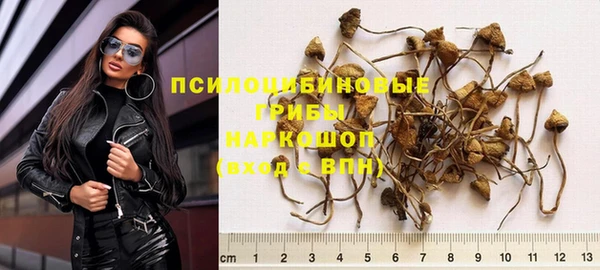 шишки Баксан