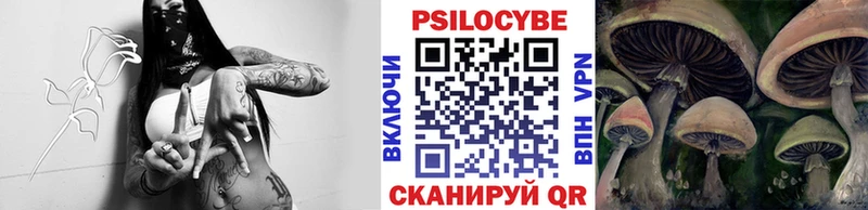 купить закладку  Себеж  darknet состав  Галлюциногенные грибы Cubensis 